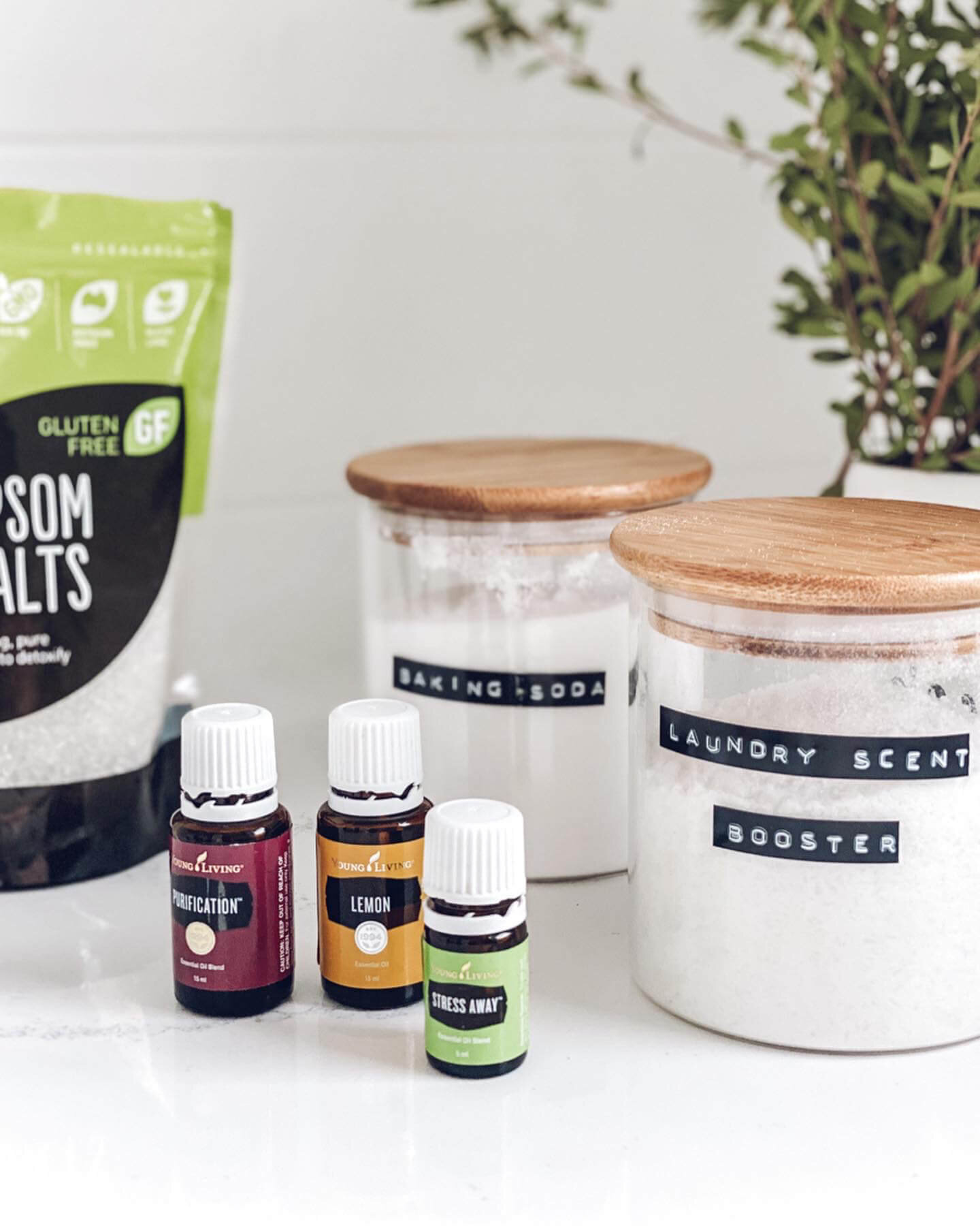 Laundry Scent Booster and Softener