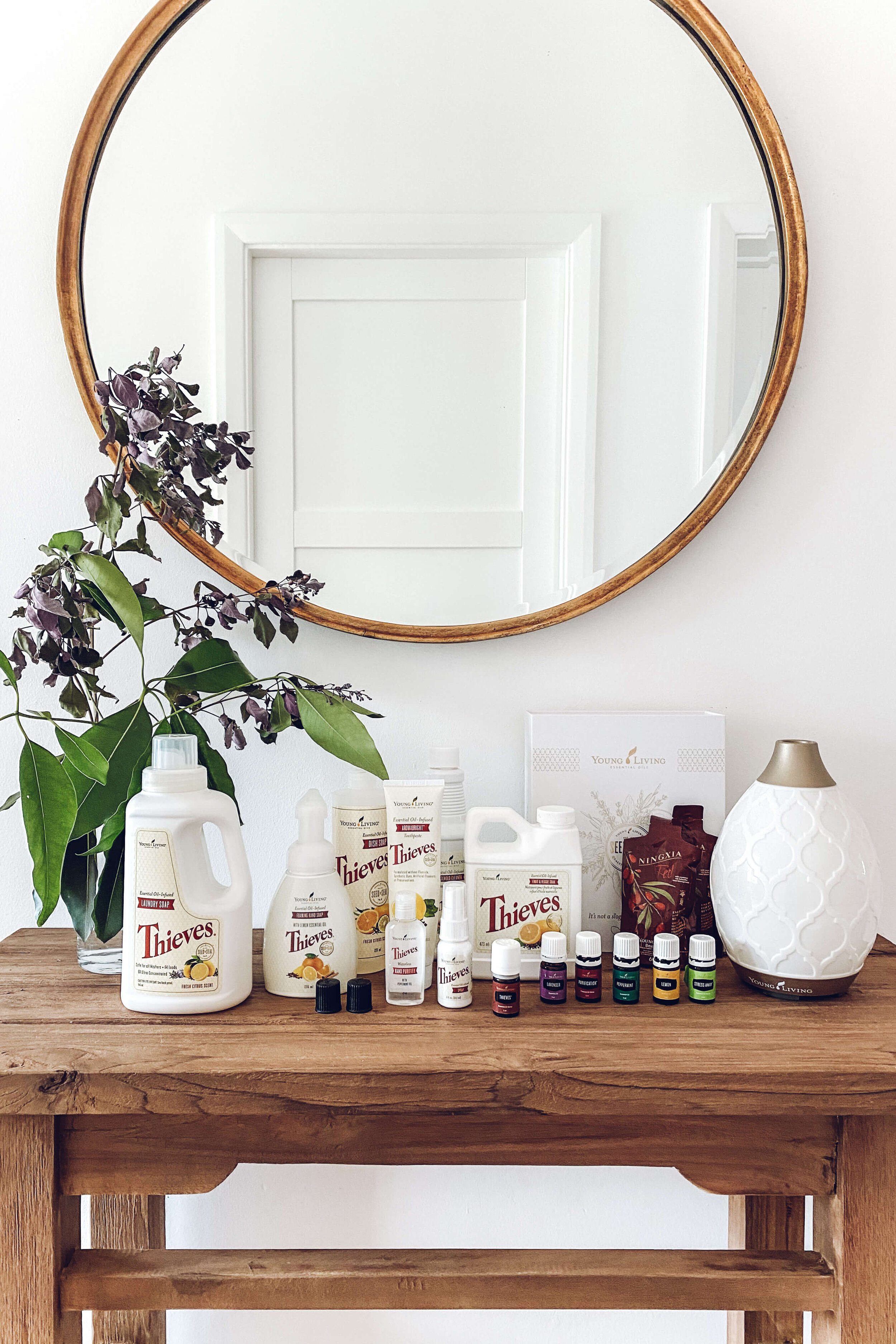 Healthy HOME STARTER KIT 10 (1).jpeg