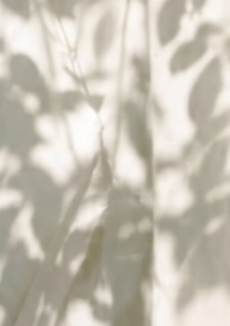Screenshot 2026-09-21 at 1.18.15 pm.png