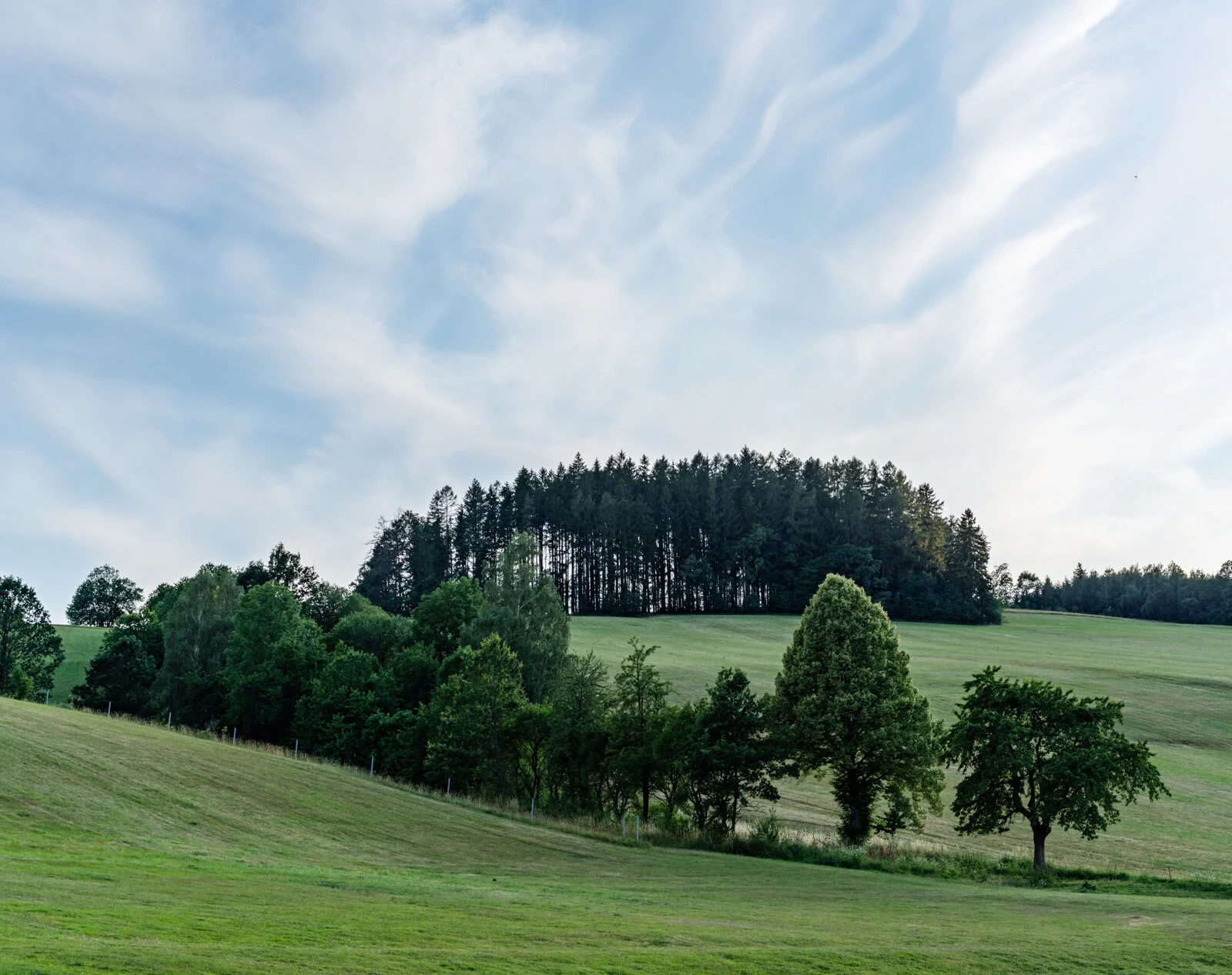Monteith_Parallax-22.jpg