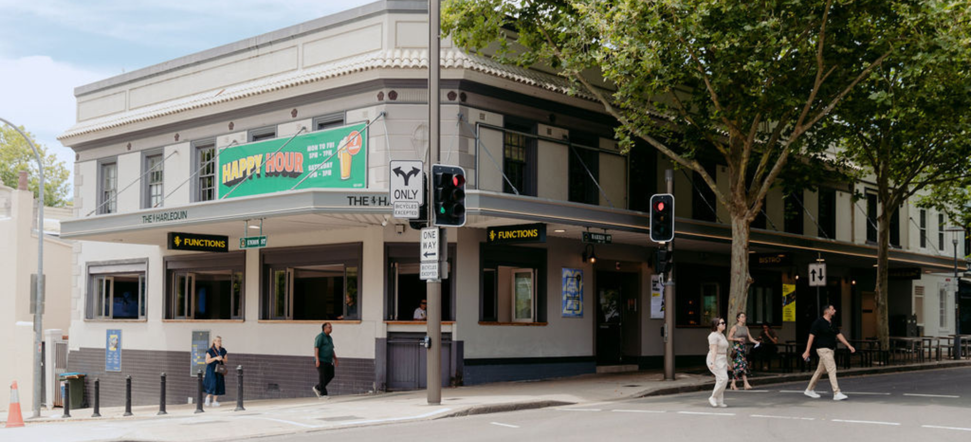 The Harlequin - Background Image.png