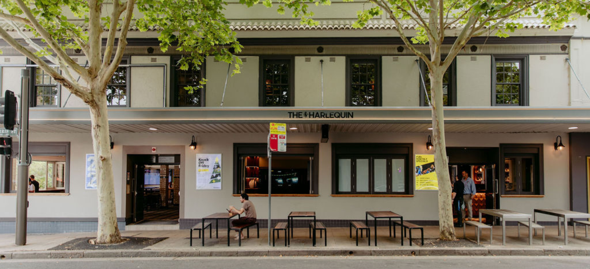 The Harlequin - Background Image (2).png