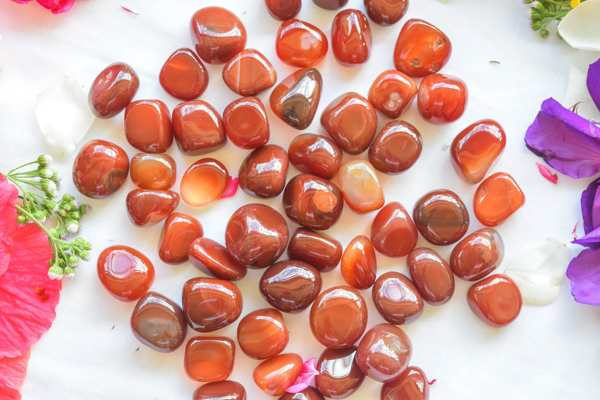 Carnelian (2).jpg