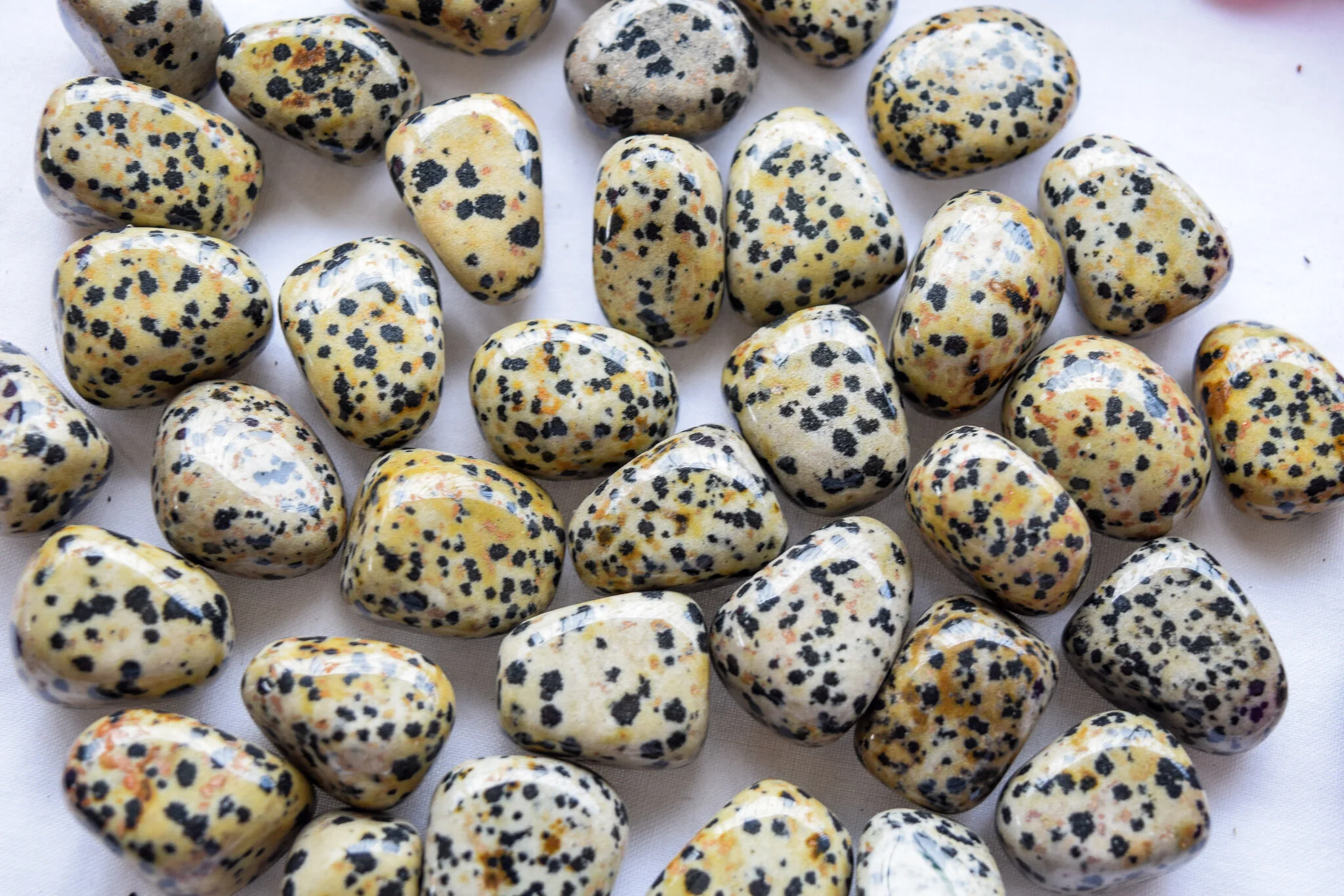Dalmation jasper (2).jpg