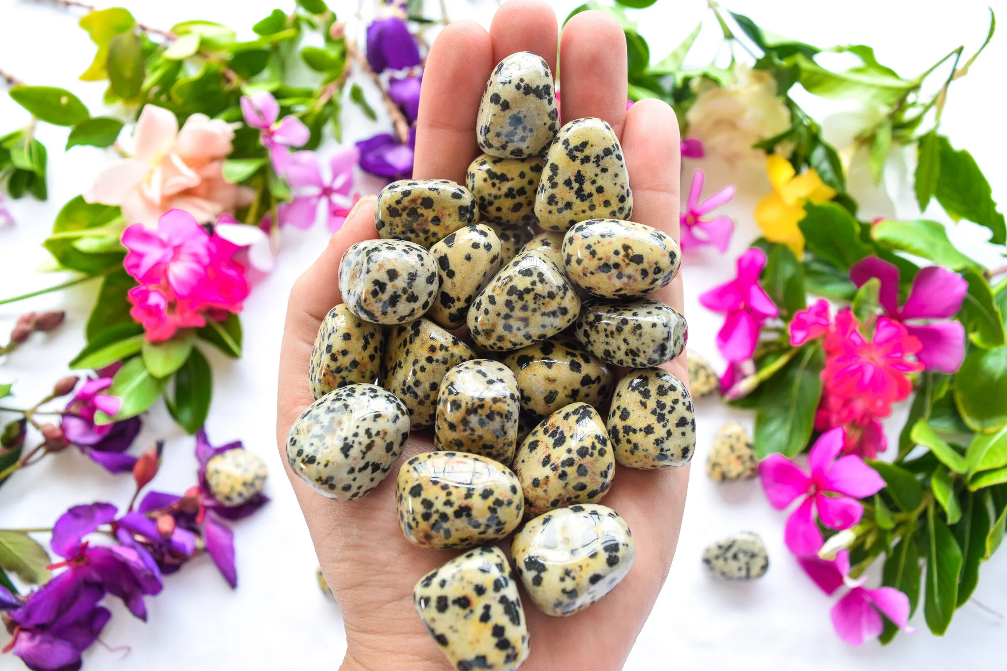Dalmation jasper (5).jpg