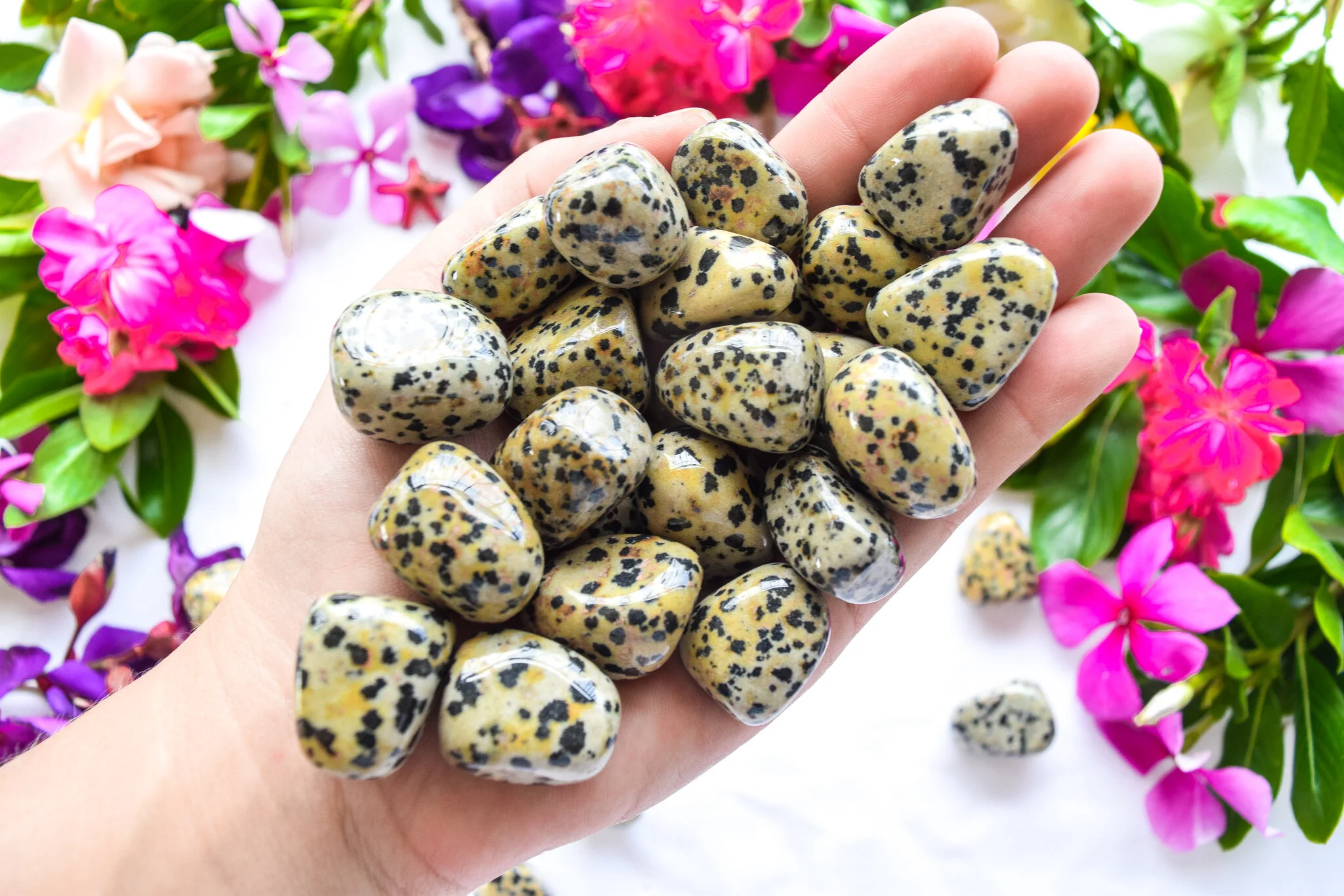Dalmation jasper (4).jpg