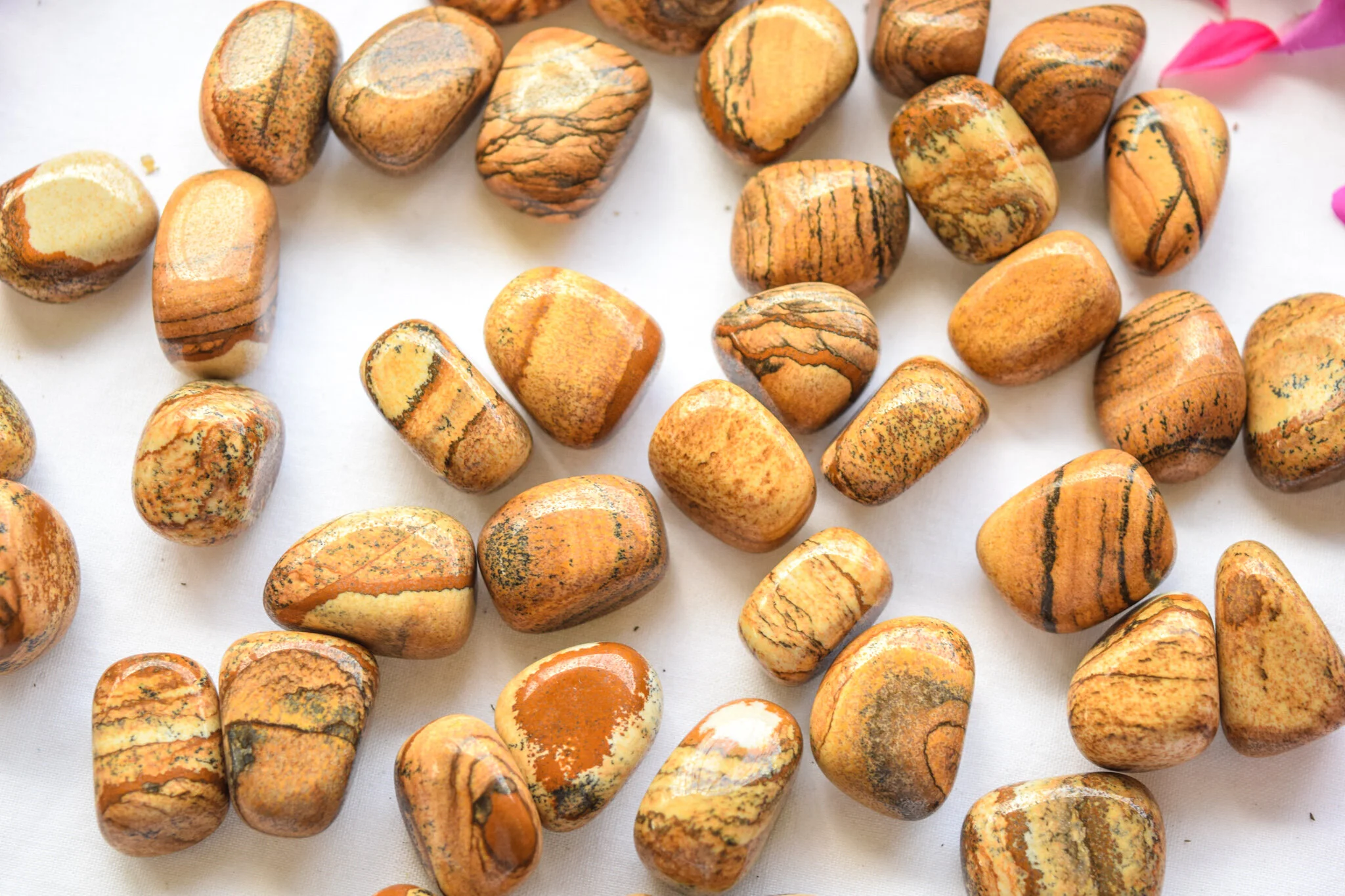 Picture Jasper (3).jpg