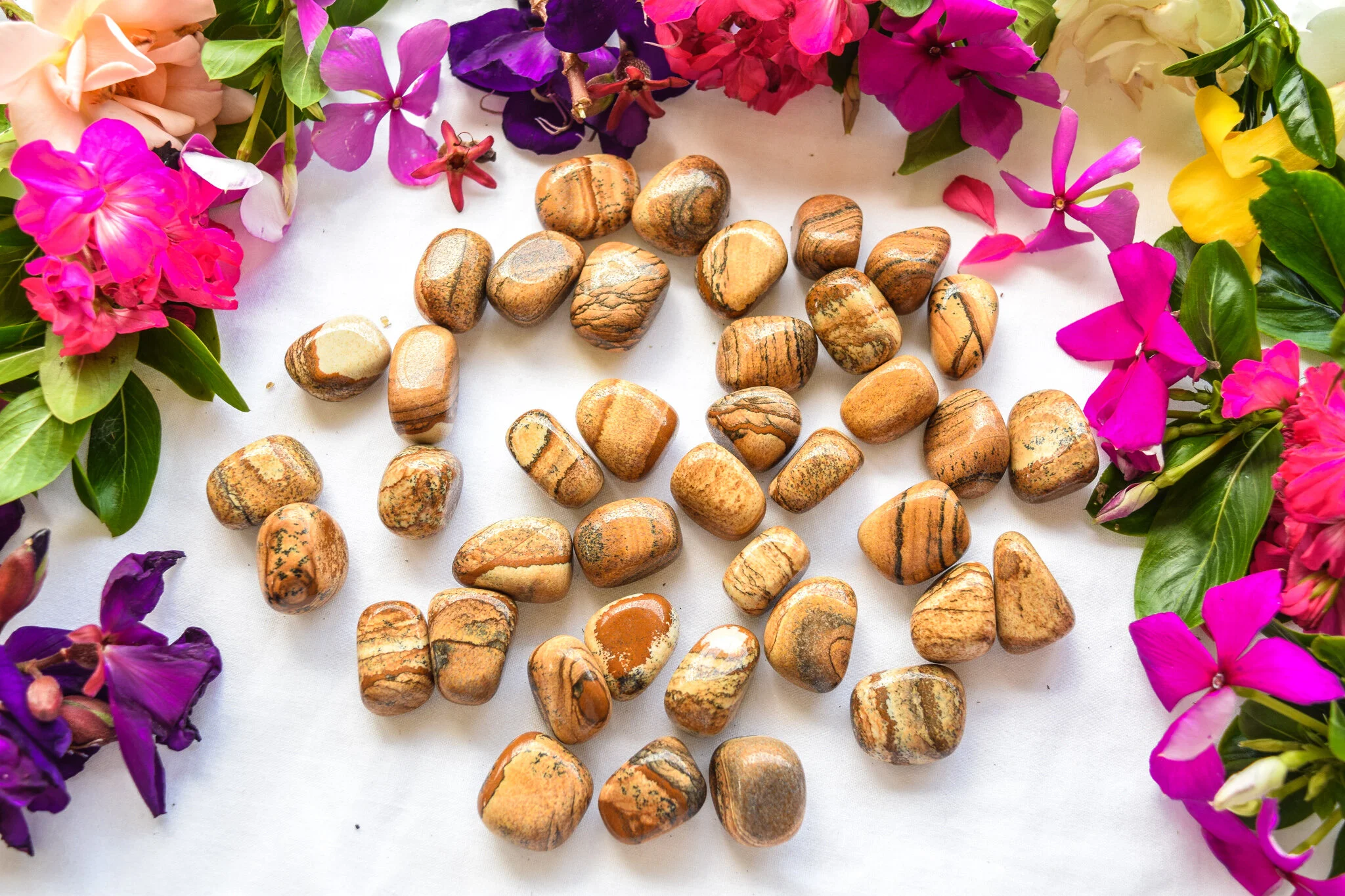 Picture Jasper (2).jpg