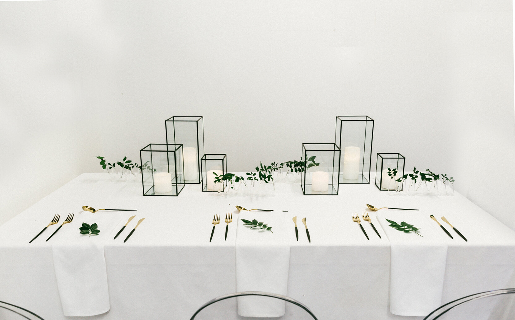 Timeless Tonia Package