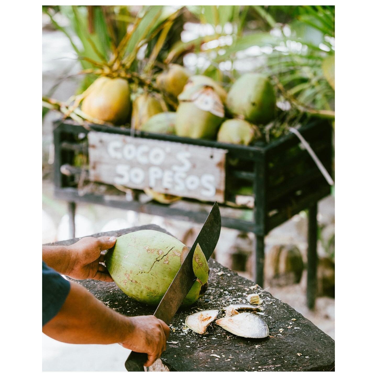 Simple, clean, wholesome....nothing compares to a freshly picked coco 🥥. Good thing we live surrounded by one of the oldest coconut palm groves on Tulum beach.