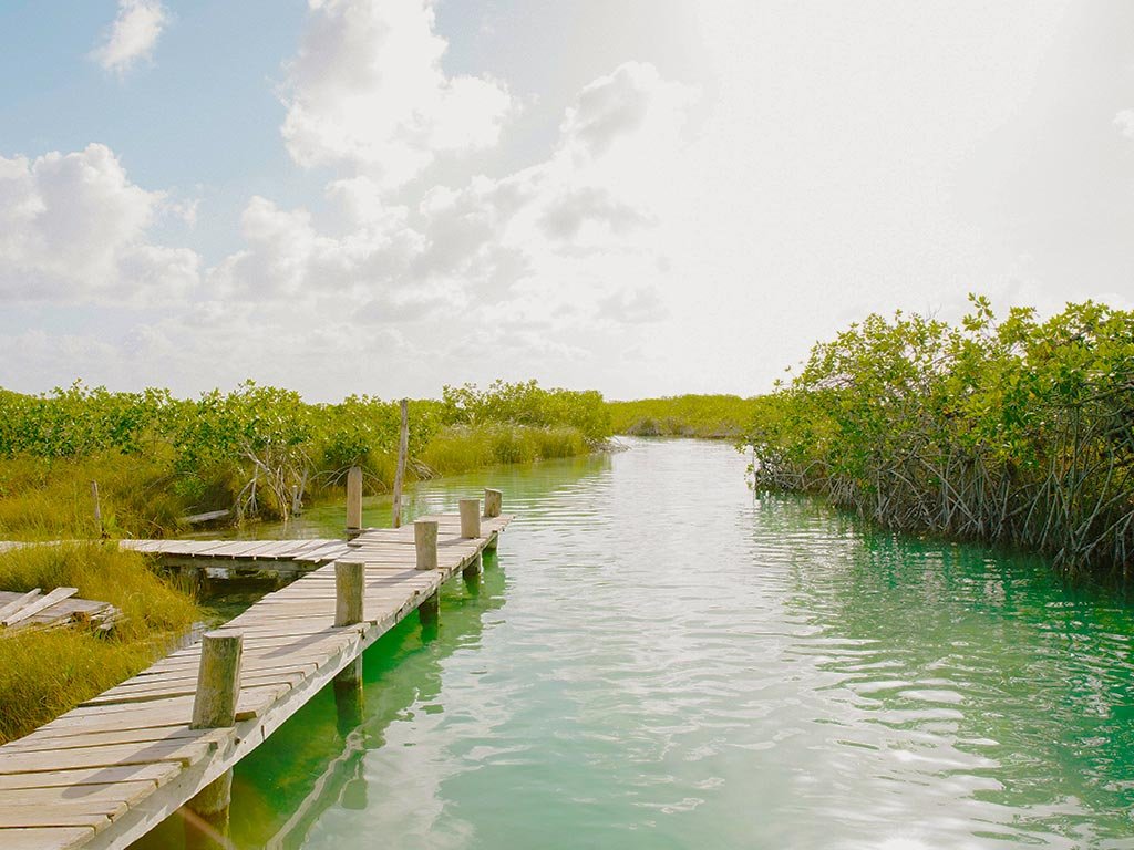 Sian Ka'an Biosphere: Your Ultimate Nature Guide