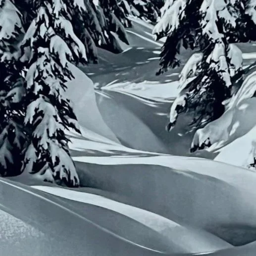 Graceful Snow Lines