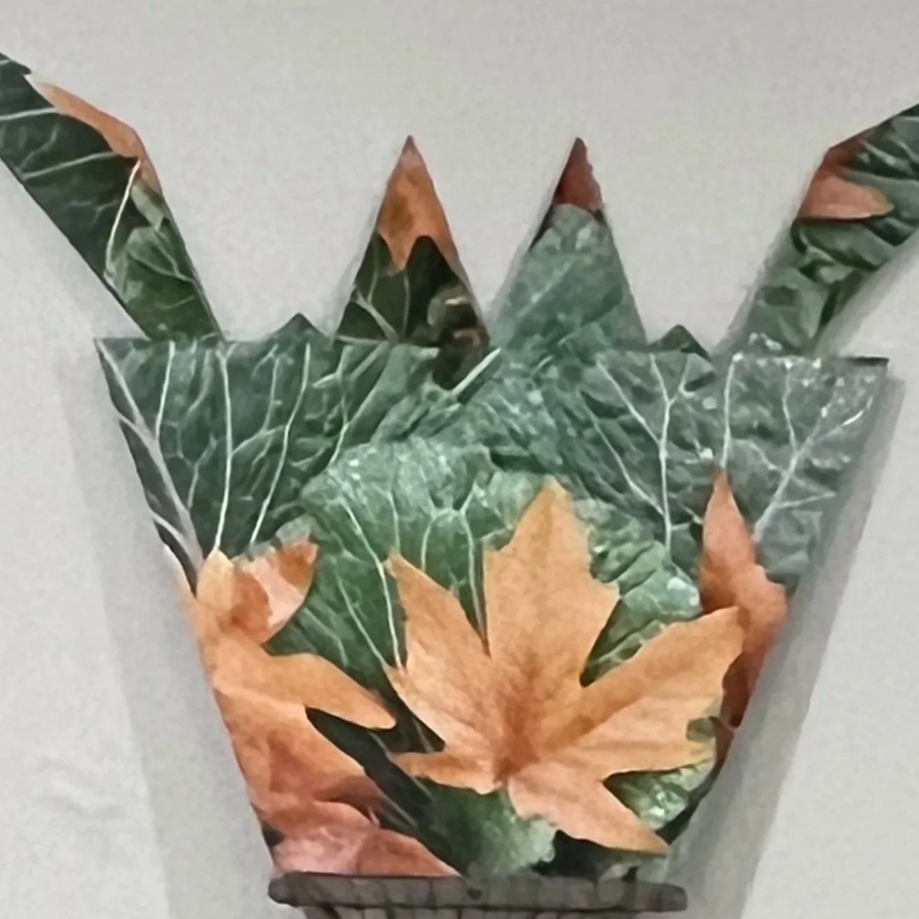 Collect by Nancy Barnhart