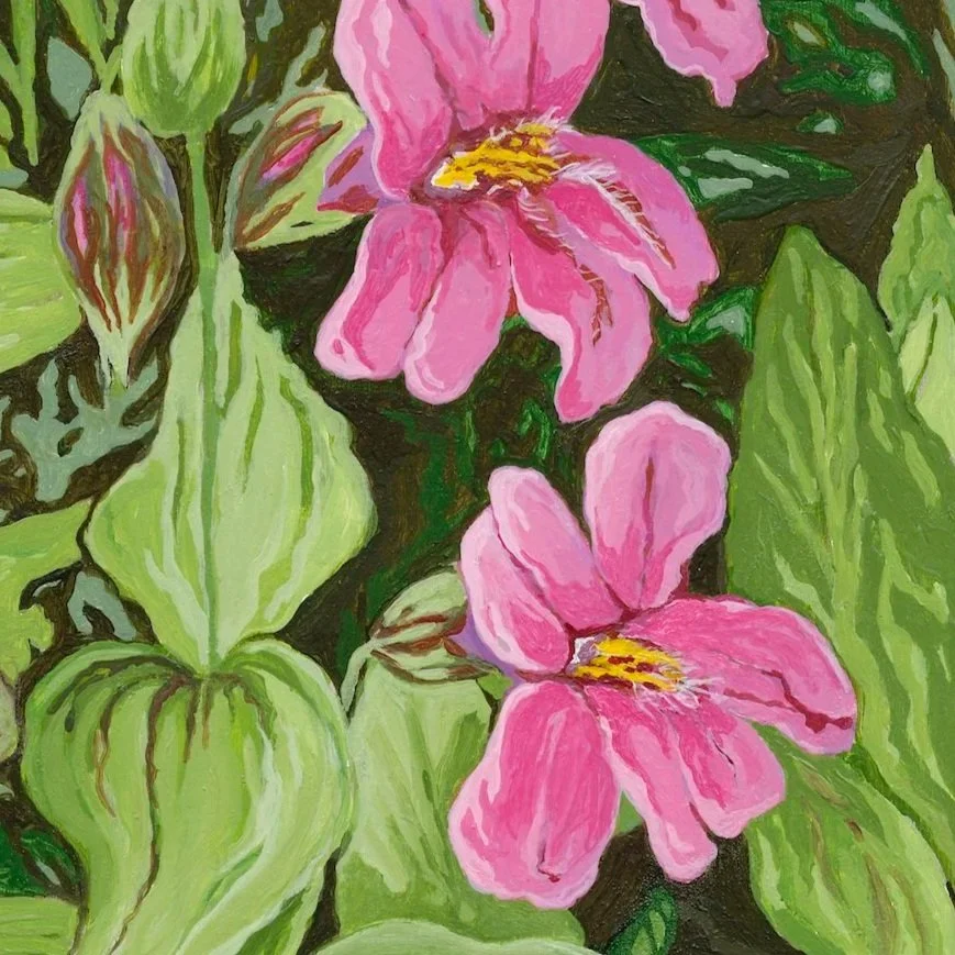 Monkey Flower by Roxanne Everett