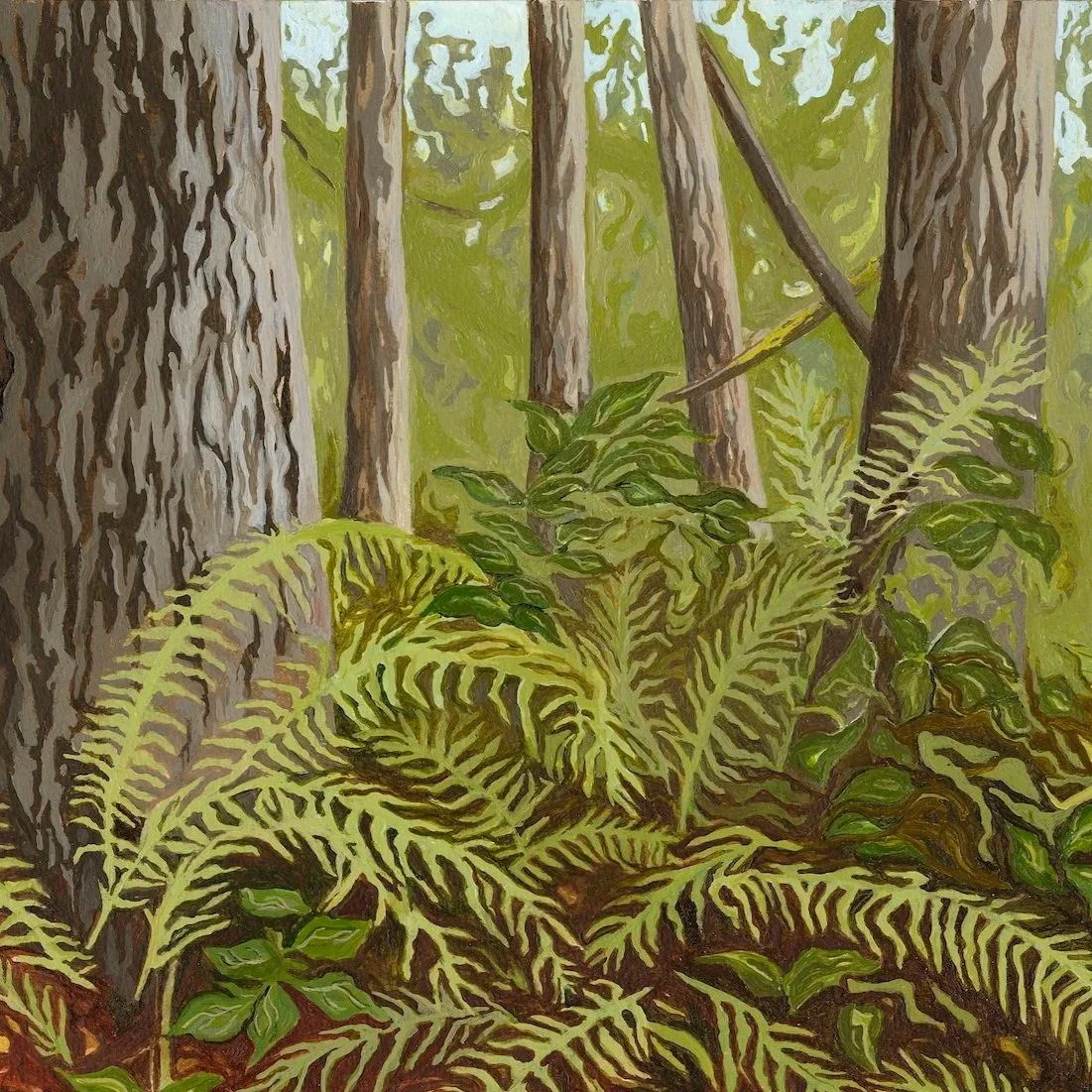 Douglas-fir Forest by Roxanne Everett