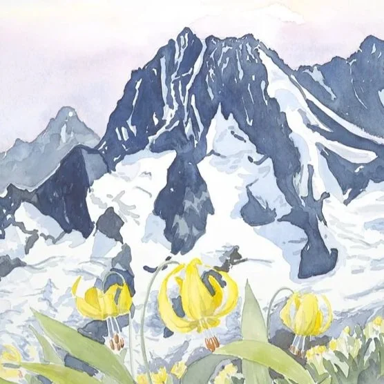 Glacier Lily and Bonzana by Chelsea Courtney