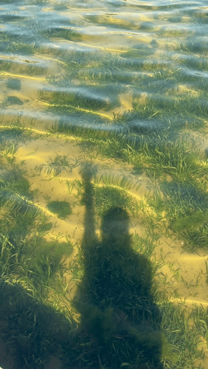 GIF_20260813164819782.GIF