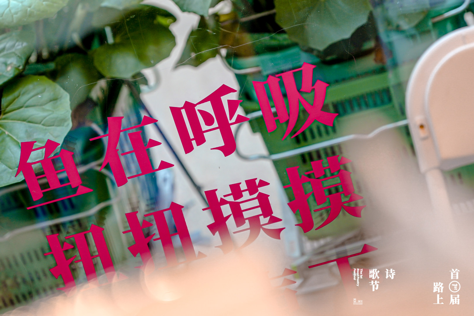 官摄_0424_11.png