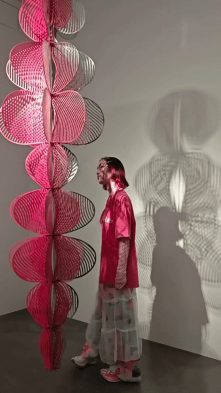 GIF_20260813164737053.GIF