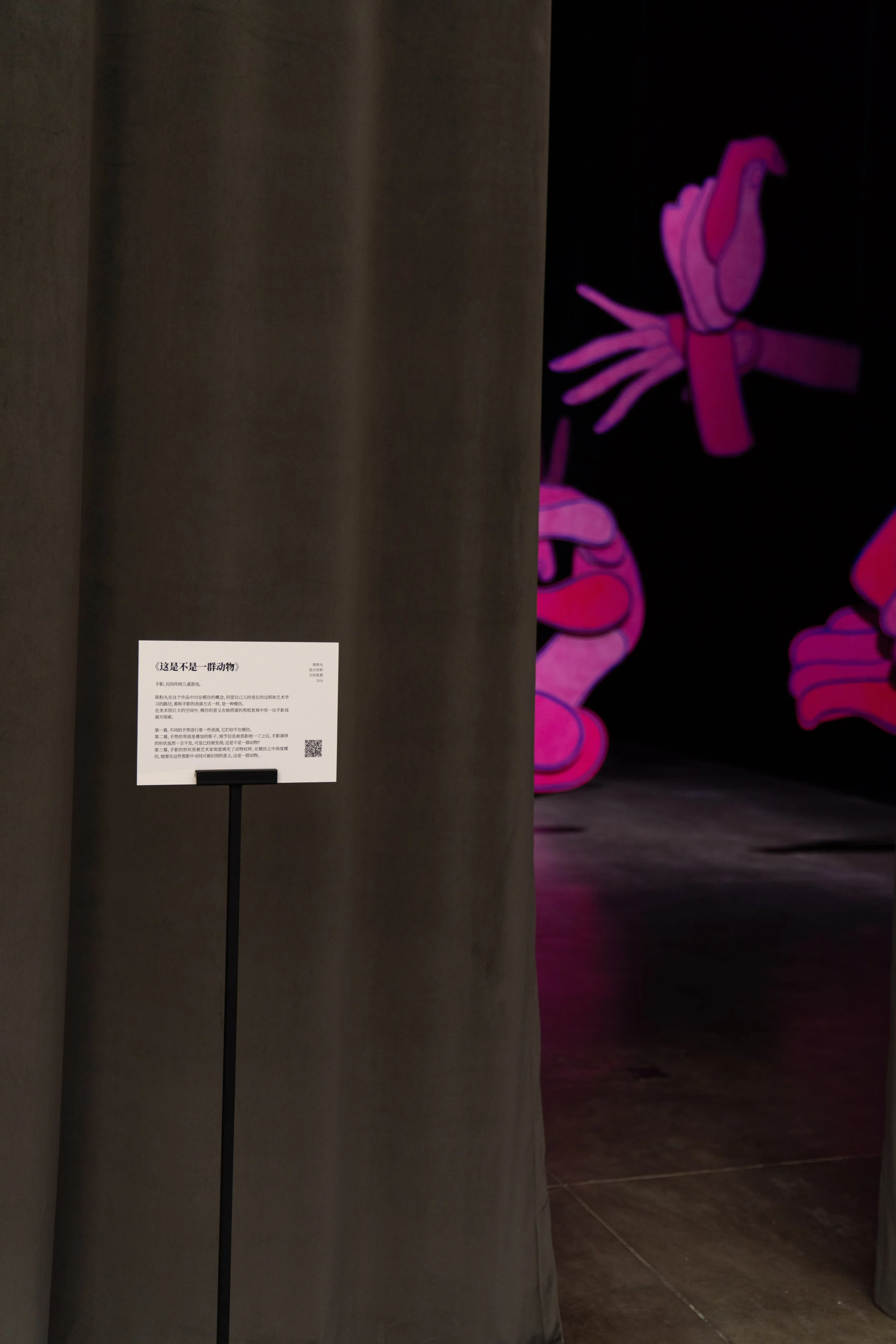 2024-陈粉丸《这是不是一群动物》-银川当代美术馆-©️丸工作室✅20240713-_DSC7549.JPG
