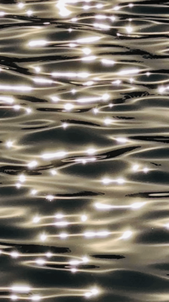GIF_20260813164836078.GIF