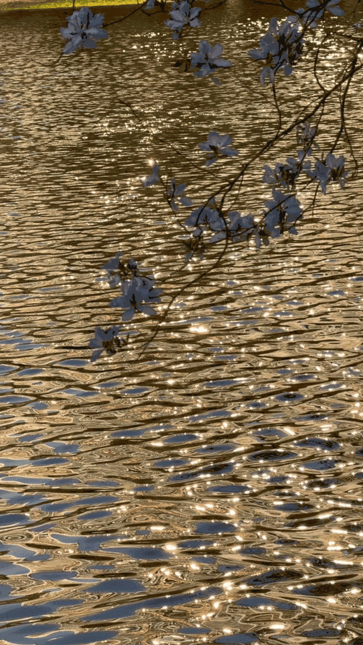 GIF_20260813164803887.gif