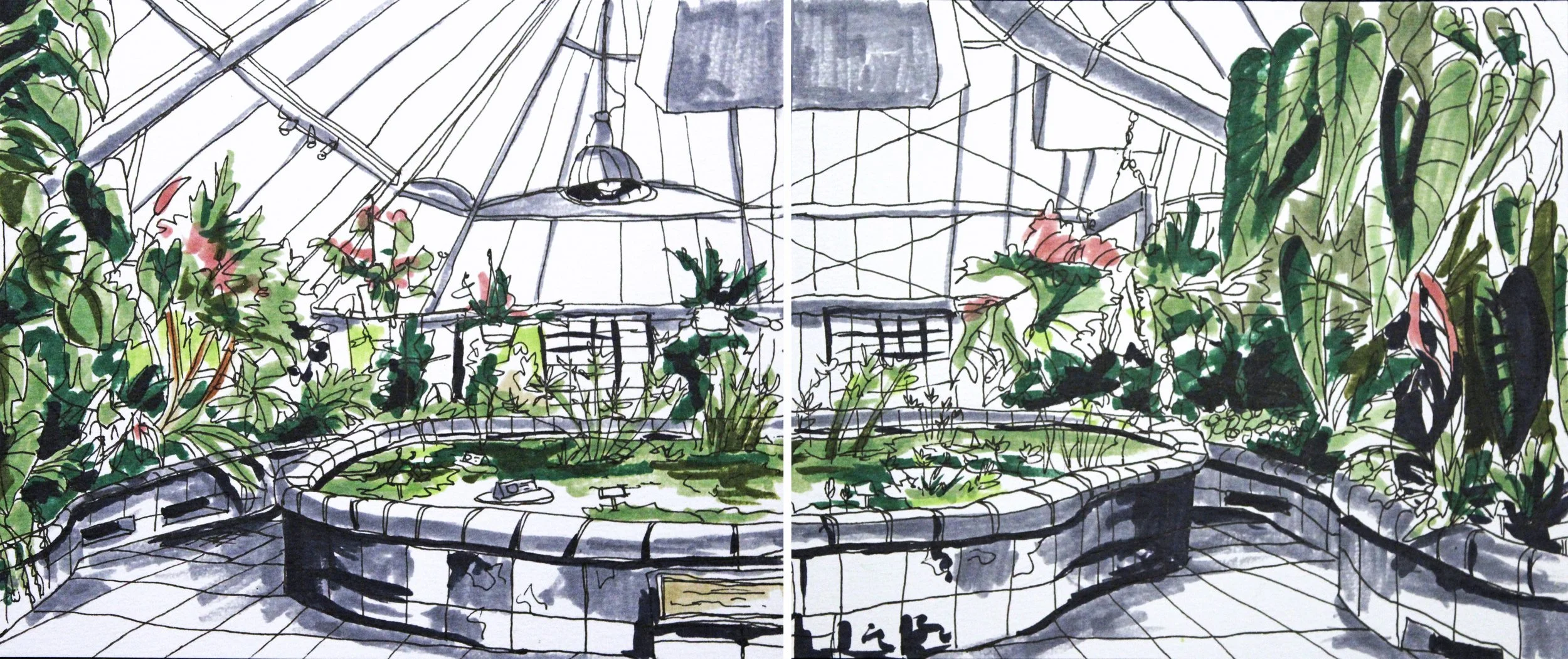greenhousedrawing_8_11_18.jpg