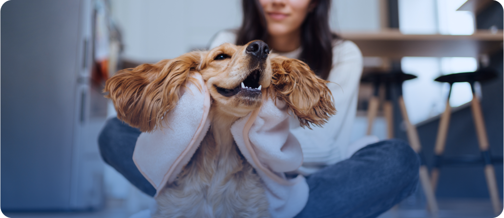 關於AWM|一般保險