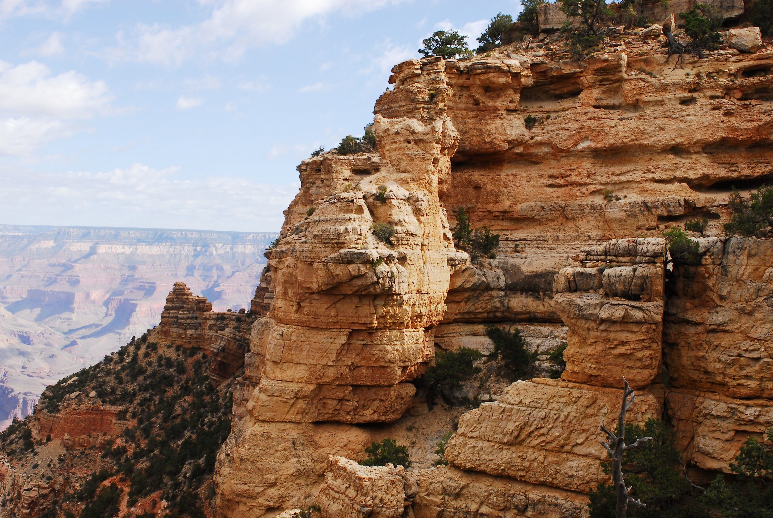 Grand_Canyon_National_Park-_The_Kaibab_from_South_Kaibab_Trail.jpg
