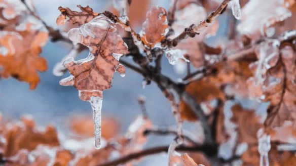 Wat te doen voor een goede weerstand in de koude wintermaanden?