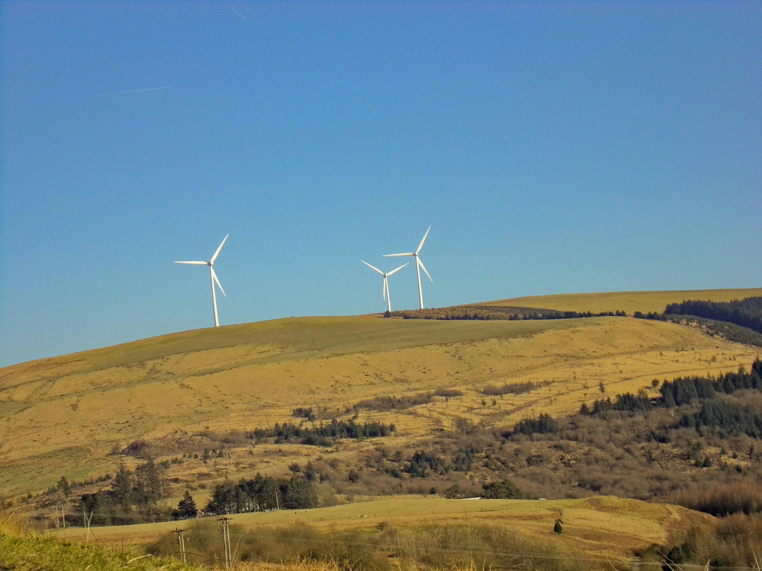 Engineius Continues to Fund Renewable Energies Projects