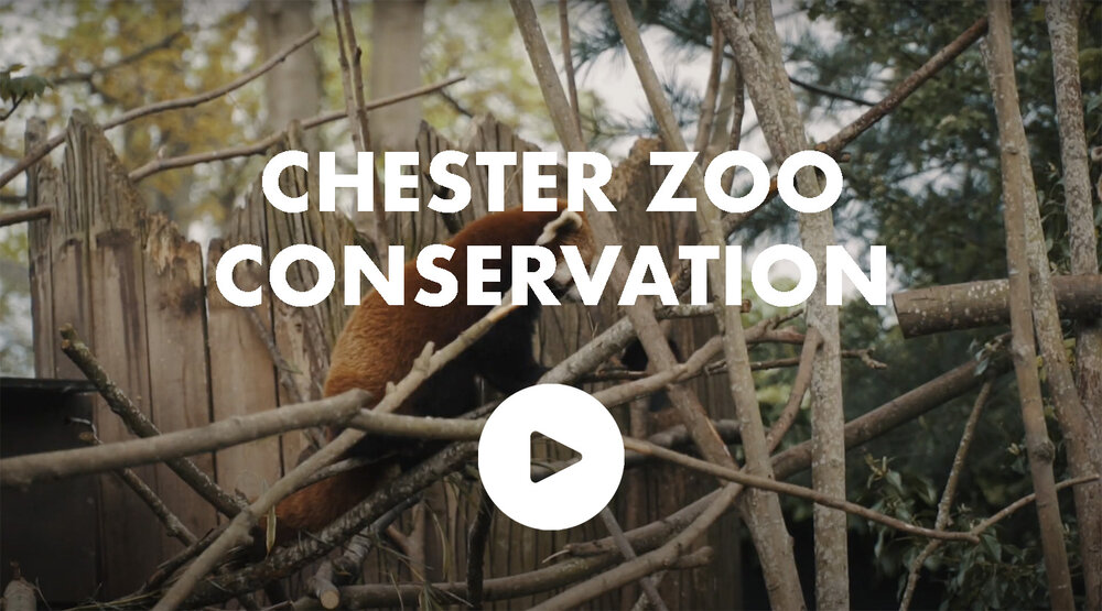ESRI Chester Zoo Conservation Corporate Video