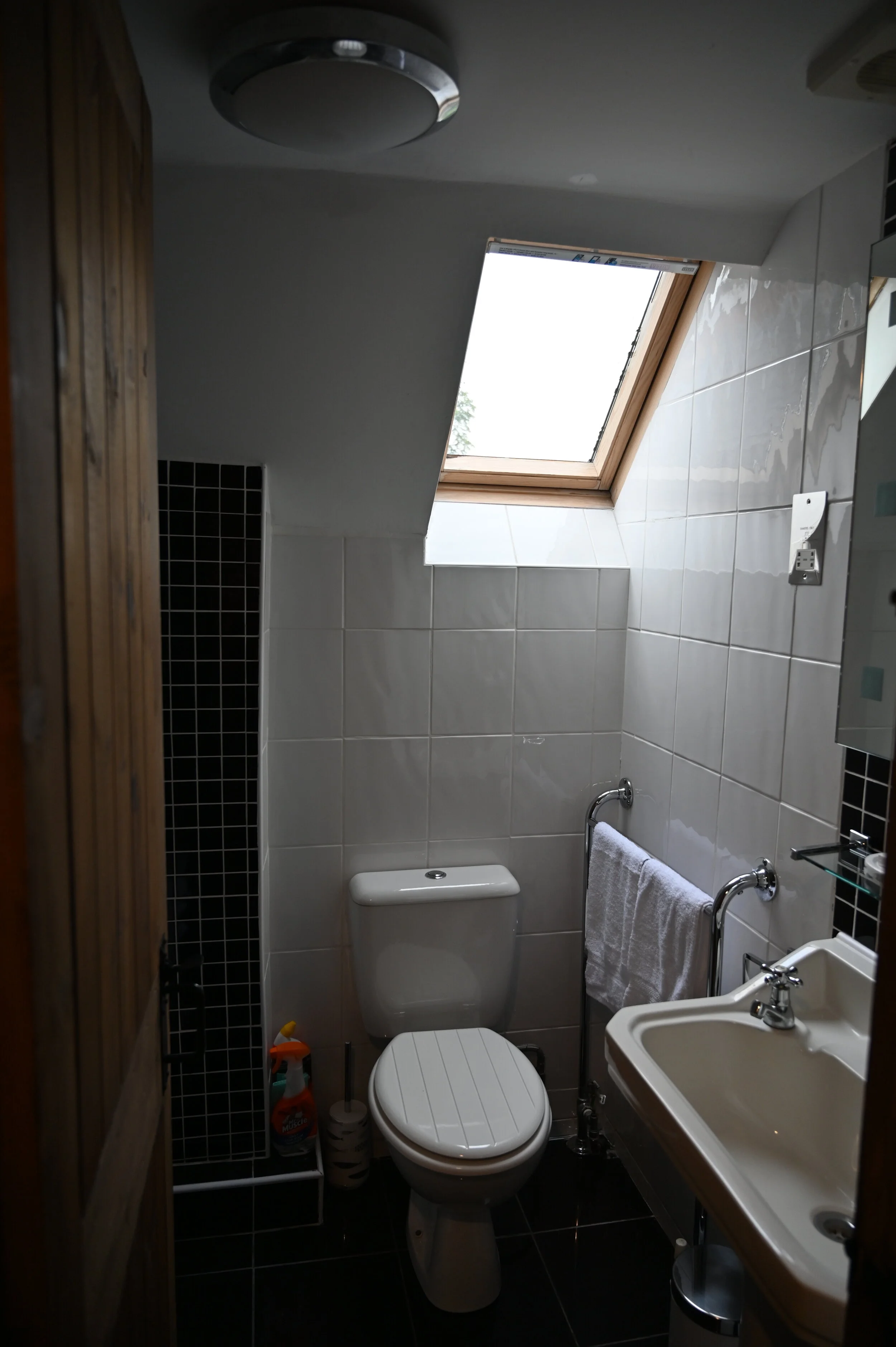 DSC_1895.JPG