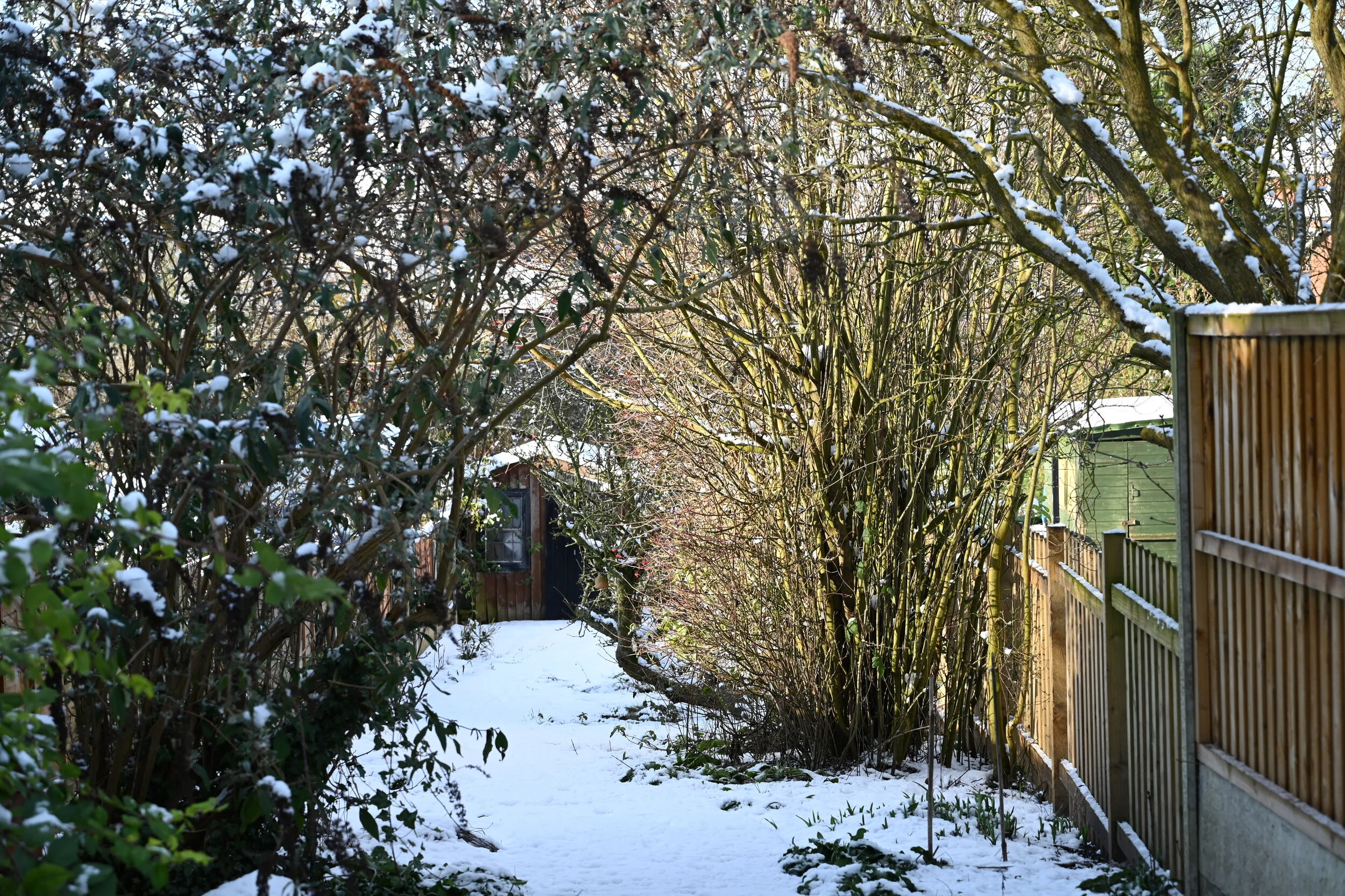 DSC_2557.JPG