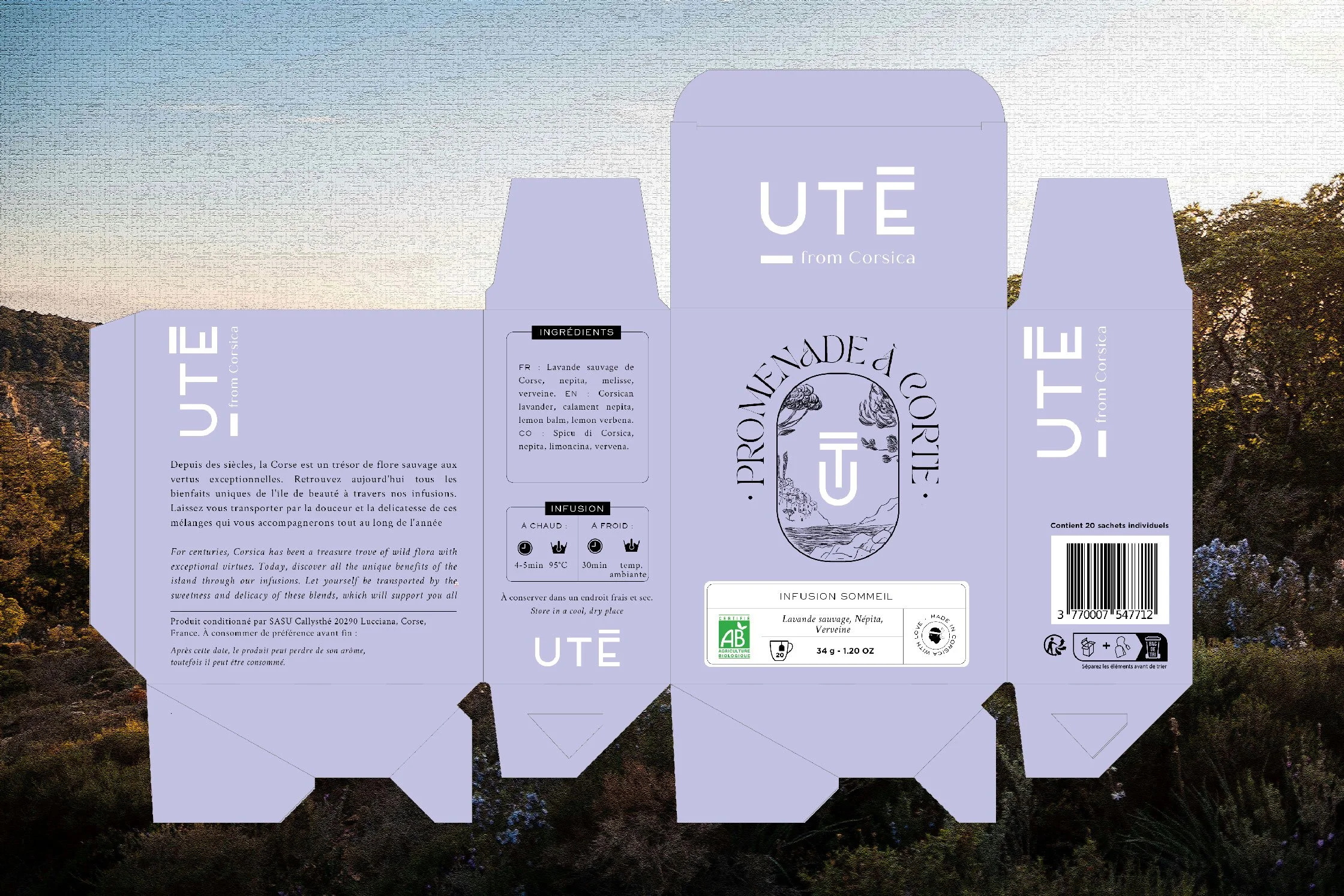 Ute5.jpg