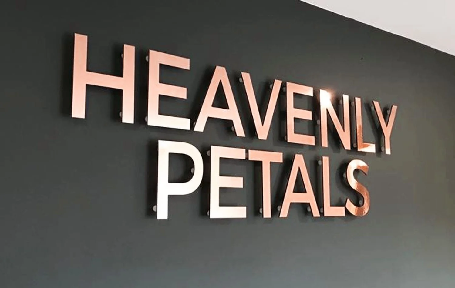 Custom Wall Letters & Signs Flat Cut Letters Signs Base