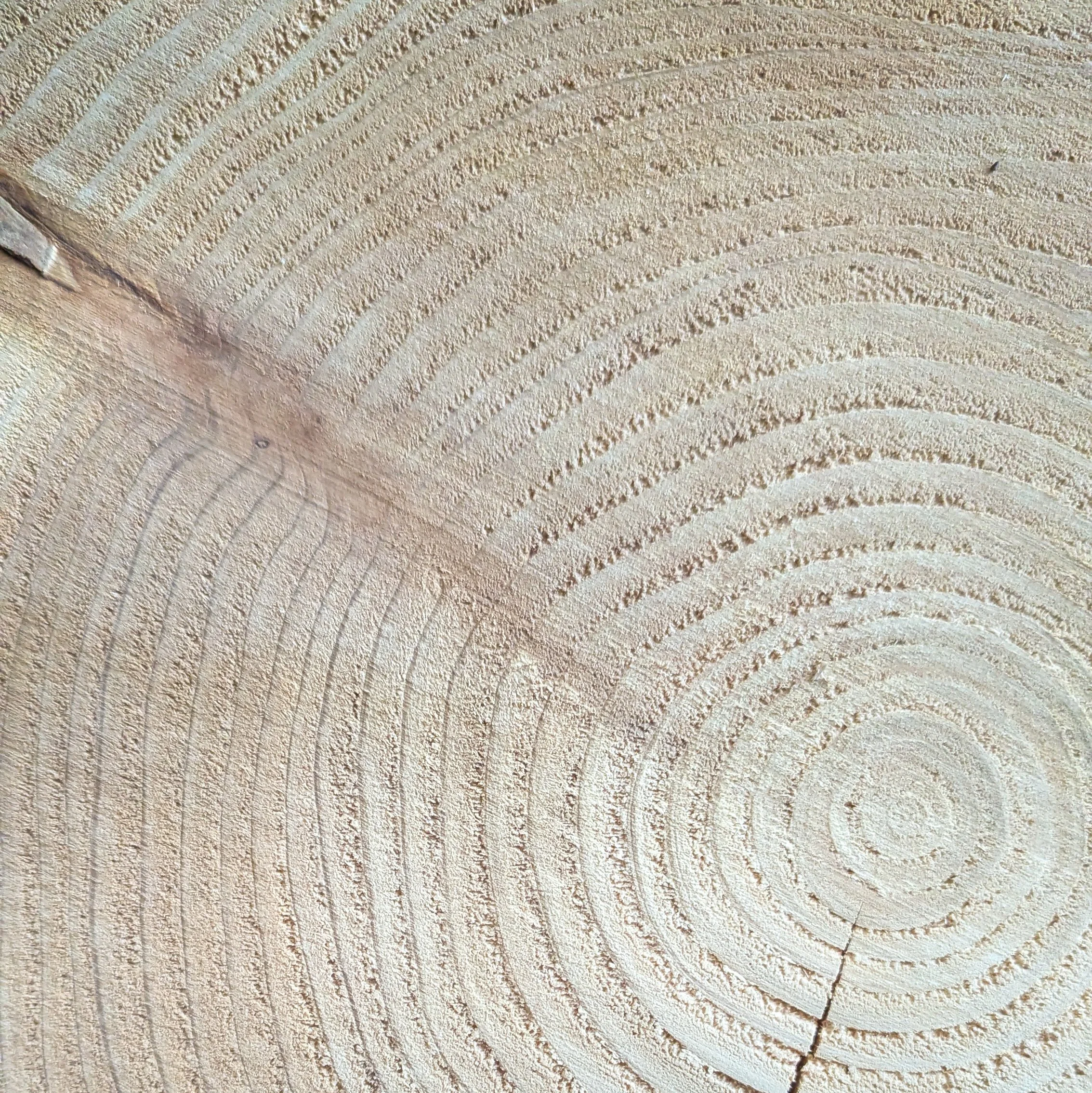 wood-waves-resin-commission-1 (5).jpg