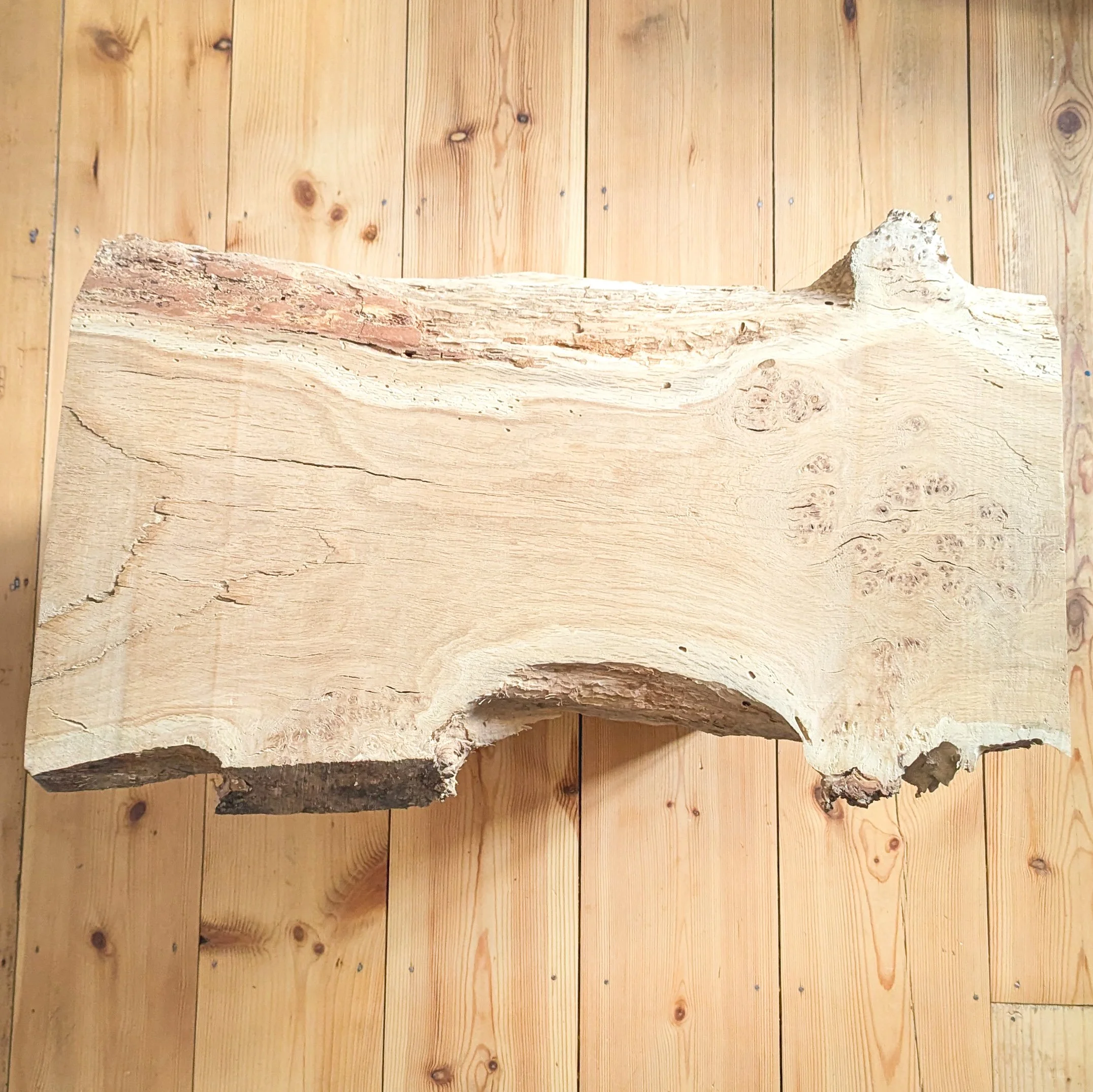 Wood & Waves Commission #4