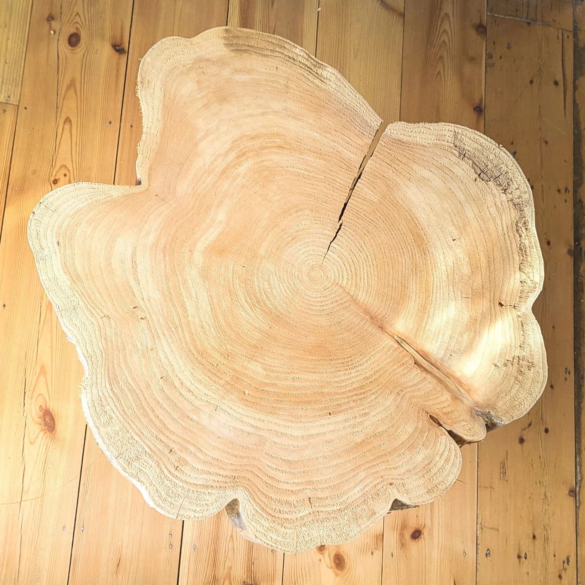 Wood & Waves Commission #1