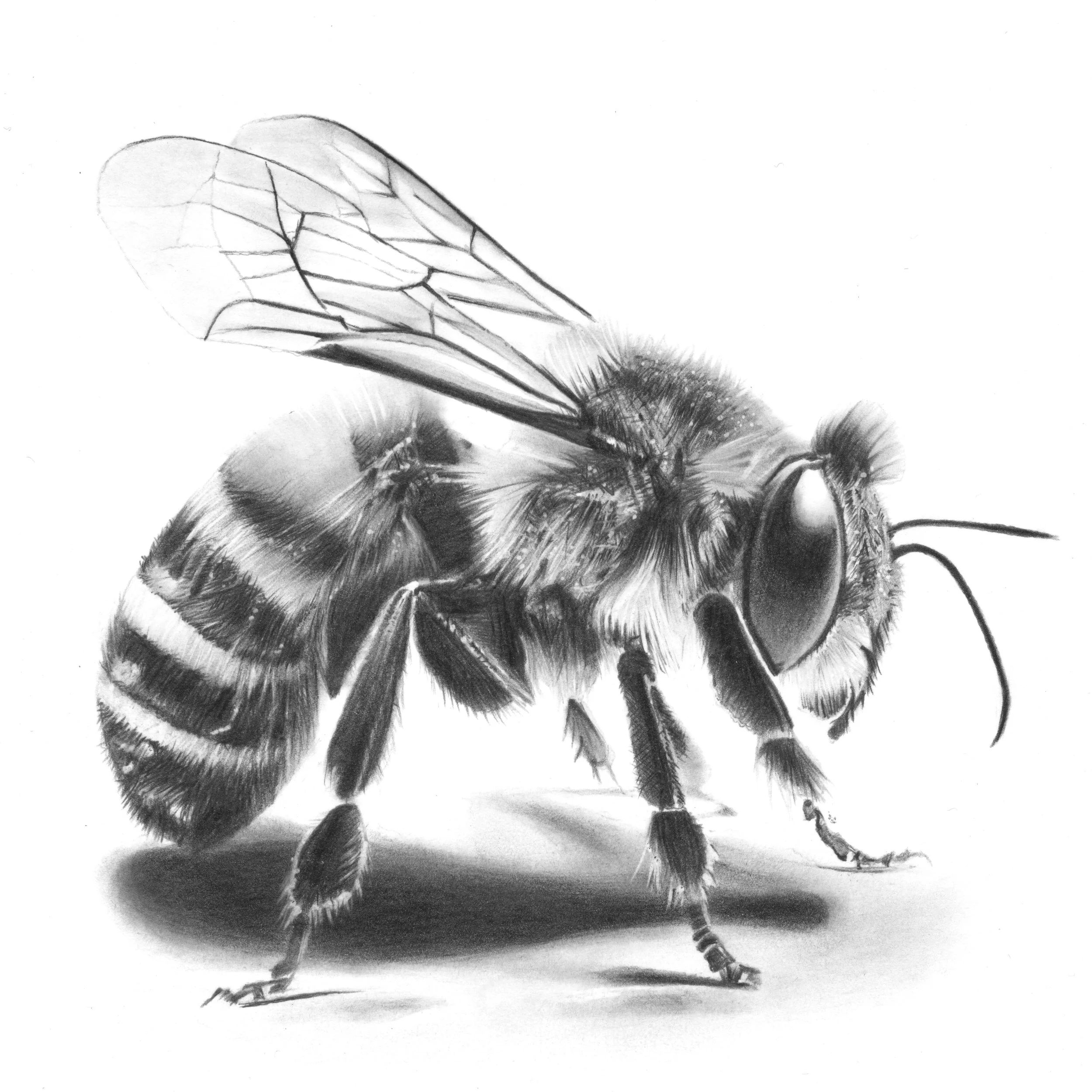 Photo 26-03-2026, 19 56 47.jpg