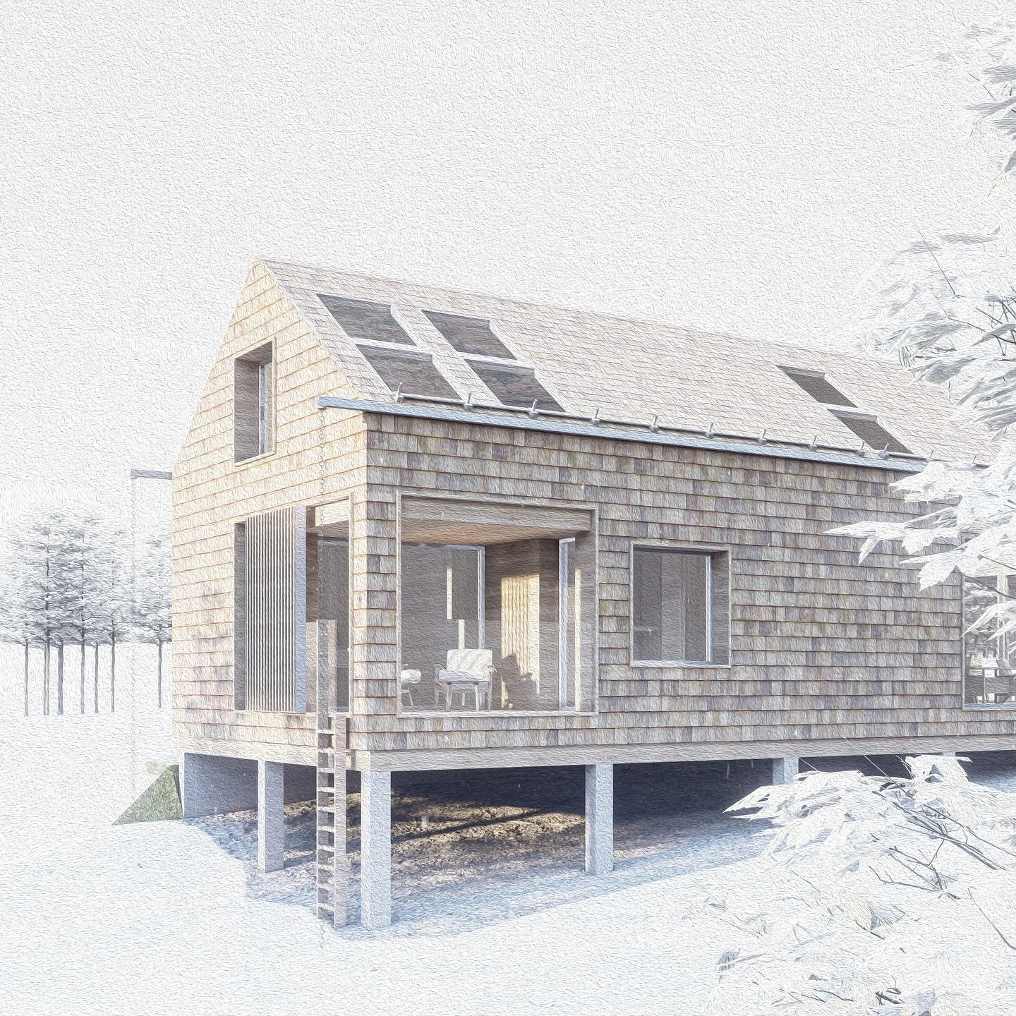 Our design for a new fj&auml;llstuga - or mountain cabin - in the ski and outdoor activity hub of T&auml;nndalen. 

We aimed to create architecture which &lsquo;belong&rsquo; in its place. Here we referenced traditional building forms, characteristic