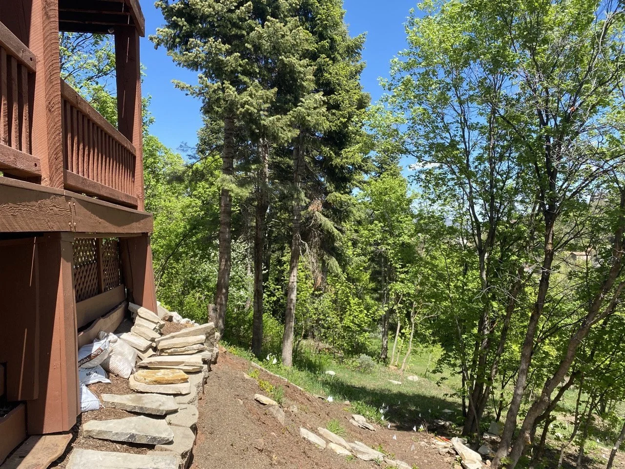 home's land shown after fire mitigation work done with fuels near home clear and healthy trees spaced around home