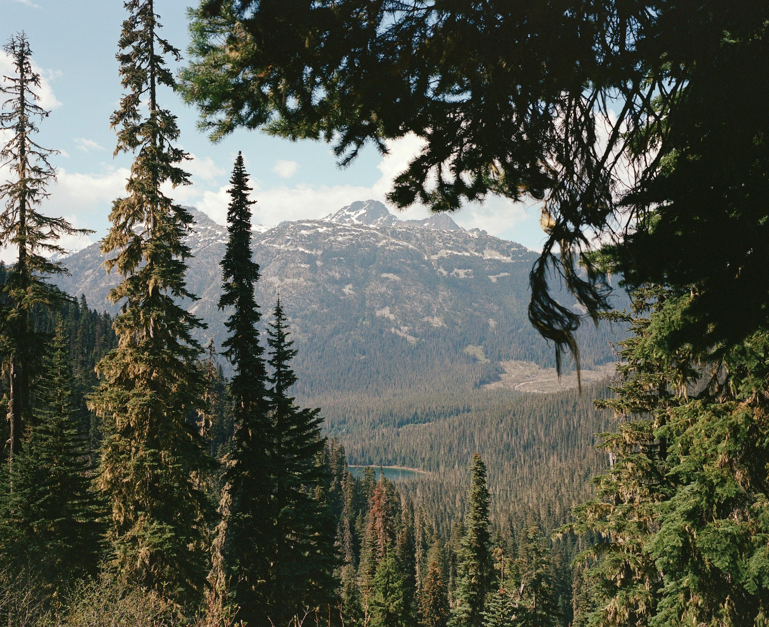 landscape image with trees and branches in the forefront. rolling mountains, lake at bottom, mountains in the distance