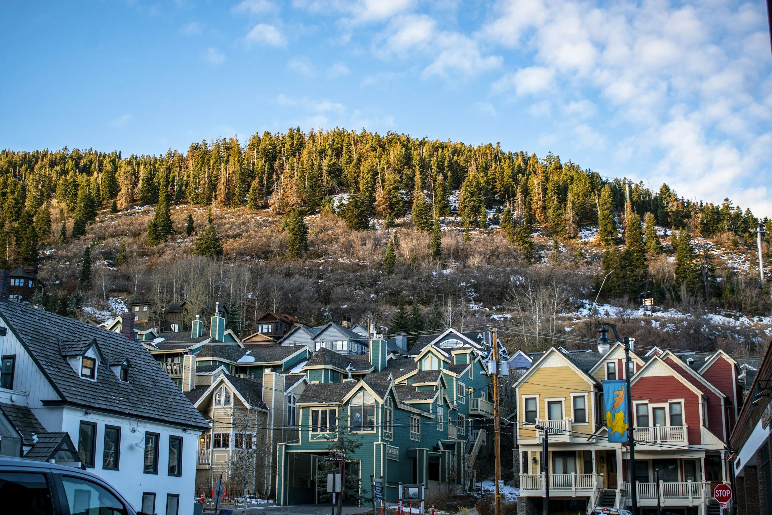 Layered park city homes in WUI