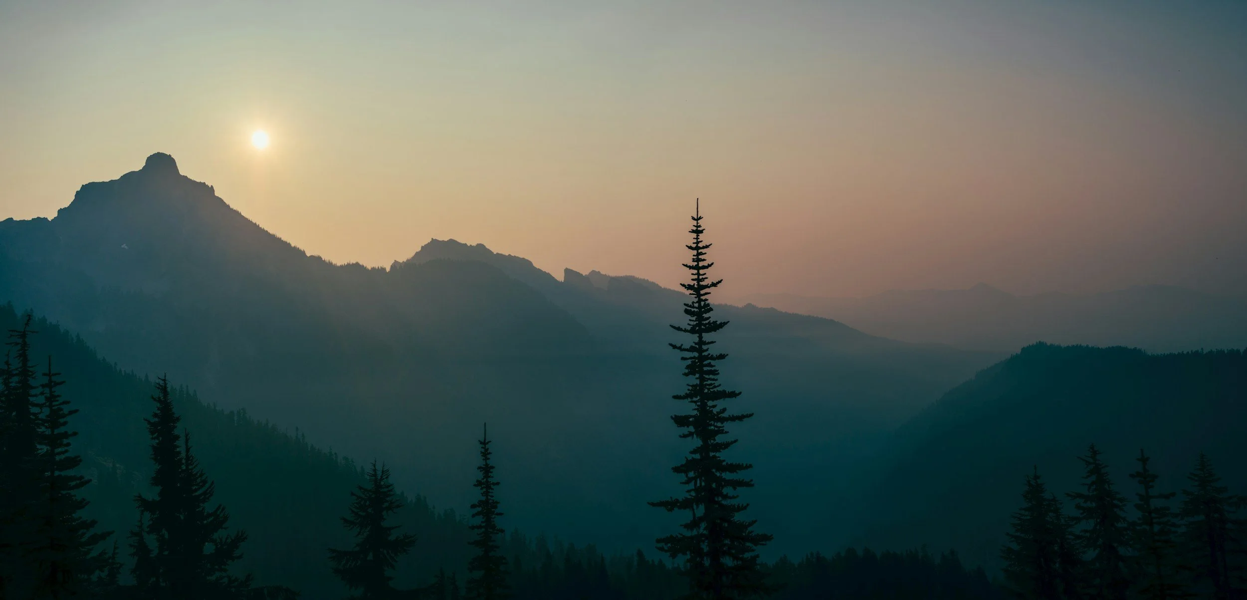 Mountain line with trees in frnt and sun behind