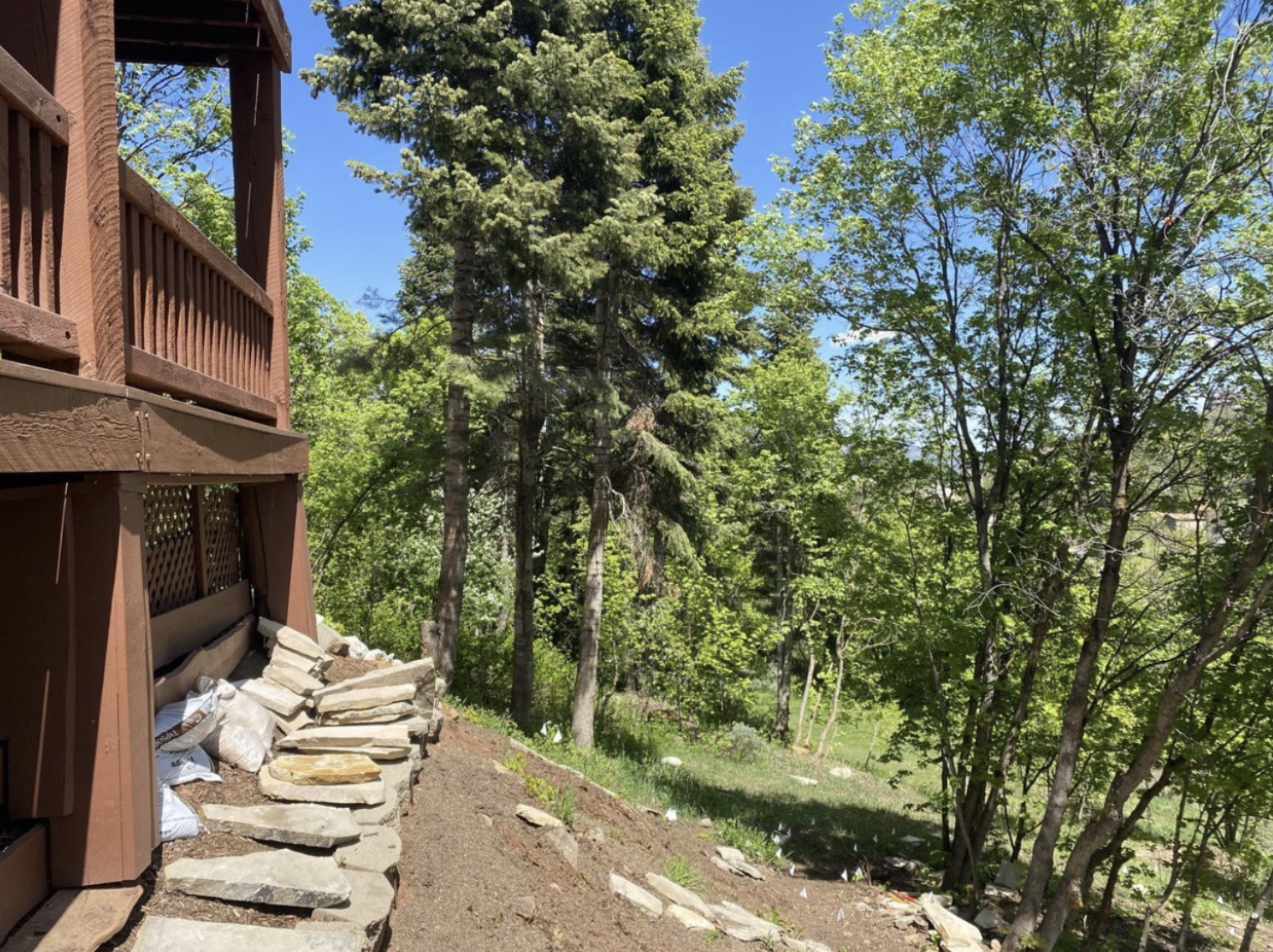 Screenshot 2025-03-24 at 8.39.42 AM.png