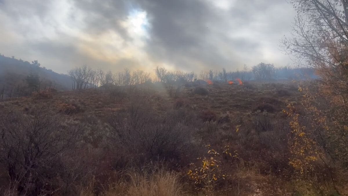prescribed burn across landscape