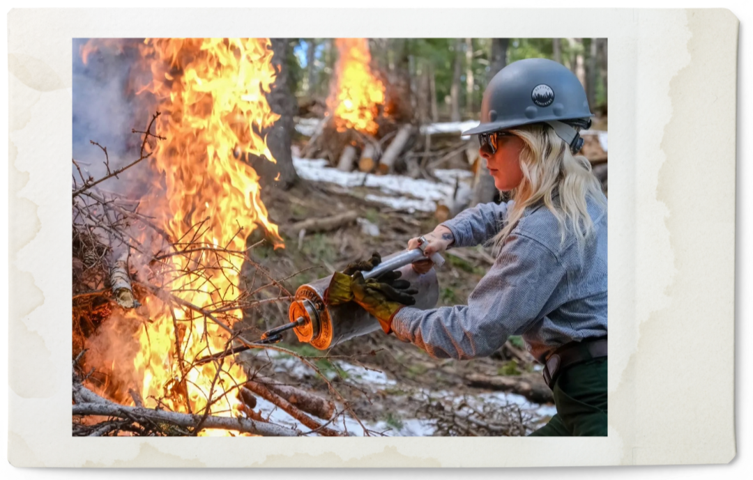 Person using drip torch on top of a burn pile, igniting it as flames rise. piles are burning behind in the background. the ground is dirt and snow