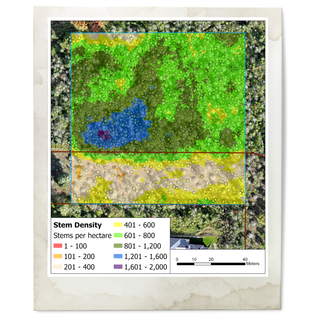 Stem density graph of area
