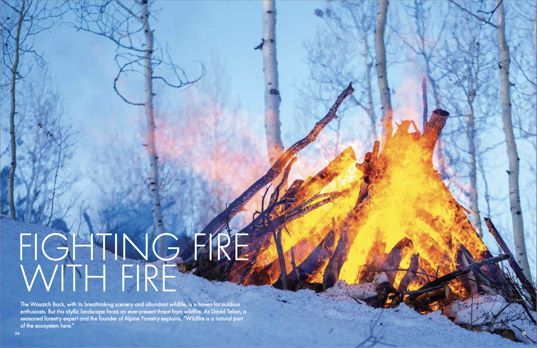 A campfire burning in a snowy forest with tall, leafless trees in the background, providing an outdoor winter scene.